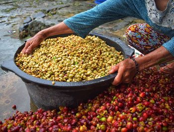 An old woman is choosing red skin among ground coffee