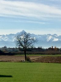 Scenic view of field against sky