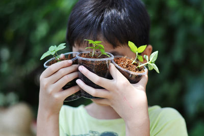 Close-up of boy holding seedlings