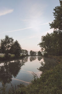 Reflection of trees in calm lake