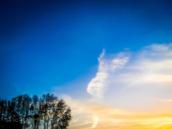 Low angle view of trees against blue sky