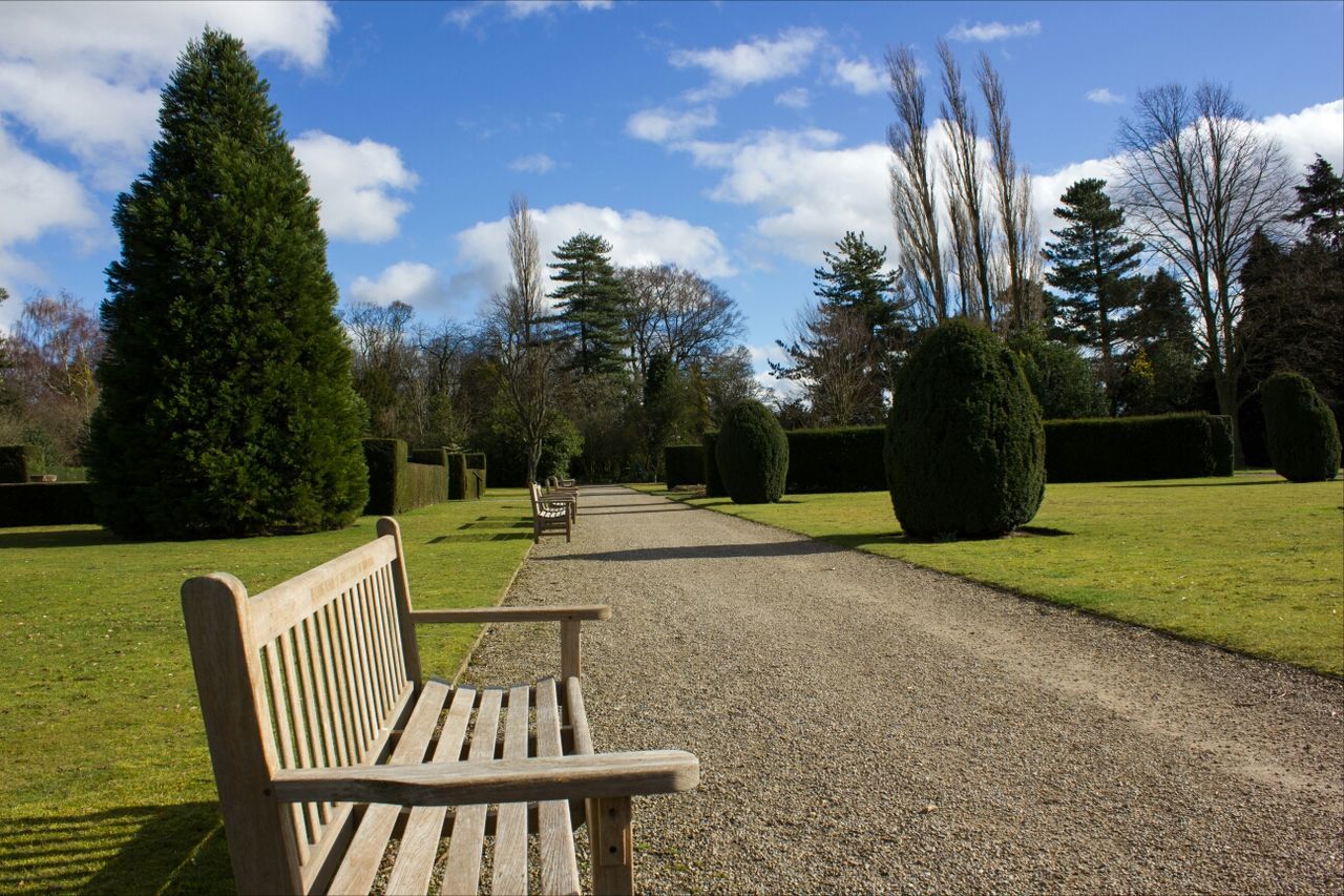 tree, empty, bench, grass, sky, tranquility, park - man made space, shadow, absence, tranquil scene, sunlight, nature, the way forward, park, chair, growth, lawn, park bench, footpath, seat