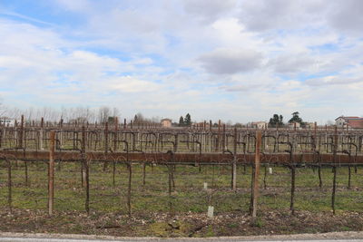 Fence on field against sky