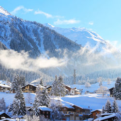 Snow covered trees and buildings against sky