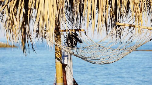 Side view of mature man standing at hammock at beach