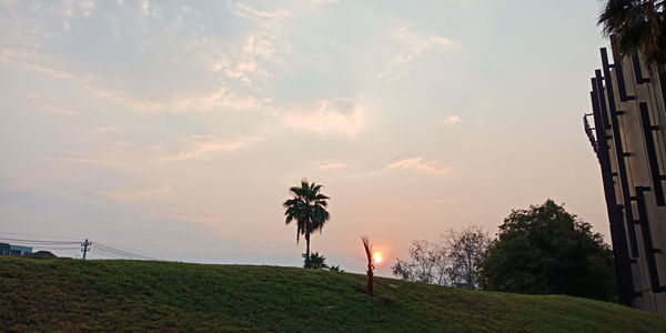 Trees on field against sky during sunset