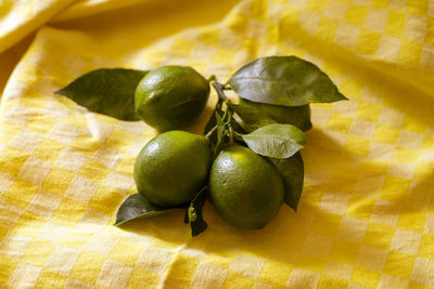 Close-up of fruits on table