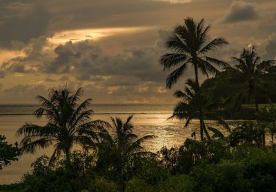 Silhouette palm trees by sea against sky at sunset