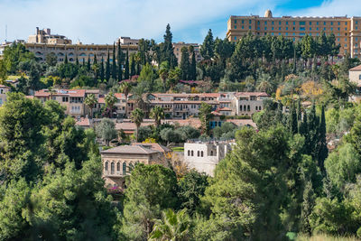 Buildings in town