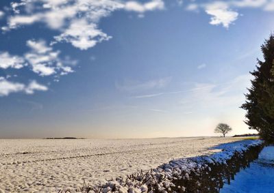 Scenic view of beach against sky during winter