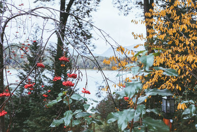 Scenic view of lake against sky during winter