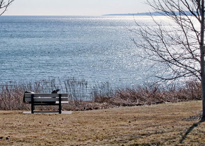 Empty bench on shore against sky