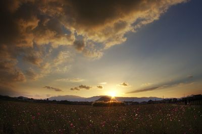 Scenic view of sunset