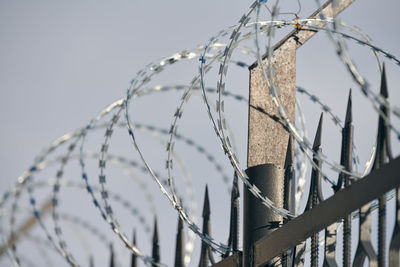 Barbed wire on fence, steel grating fence, metal fence wire. coiled razor wire with sharp barbs