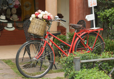 Bicycle on flower in city