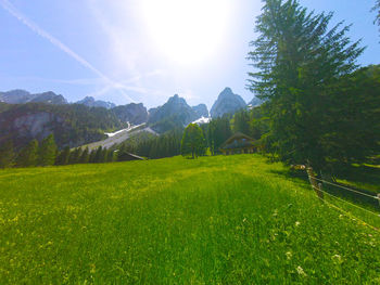 Scenic view of field against sky