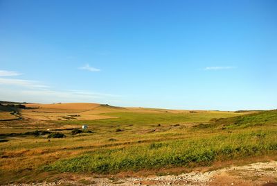 Scenic view of grassy field against sky