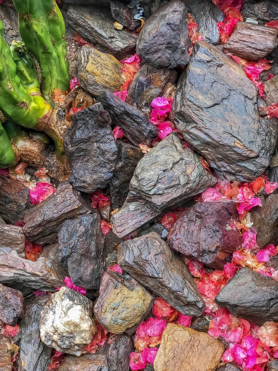 HIGH ANGLE VIEW OF VEGETABLES