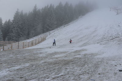 Rear view of people on snow covered land