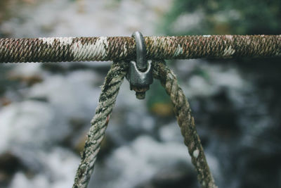 Close-up of rope on rusty metal fence