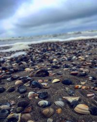 Close-up of pebbles on beach