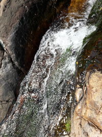 Close-up of water flowing through rocks