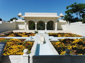 View of flowers in garden