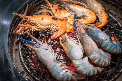 High angle view of prawns