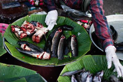 Close-up of cut fishes on container