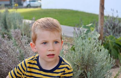 The blond boy looks off into the distance with interest. a fascinated five-year-old boy