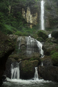 Scenic view of waterfall in forest