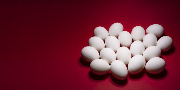 White chicken eggs isolated on a red background