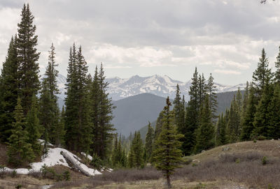 Scenic view of mountains against cloudy sky