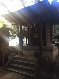 View of dog at entrance of temple