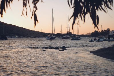 Sailboats in sea at sunset