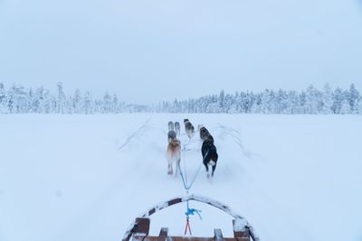 Rear view of people on snow covered field against sky