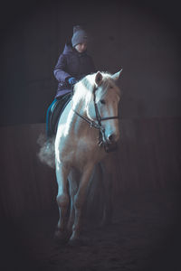 Man riding horse