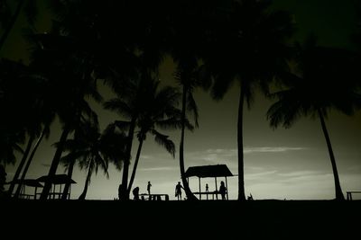 Silhouette palm trees on beach against sky at sunset