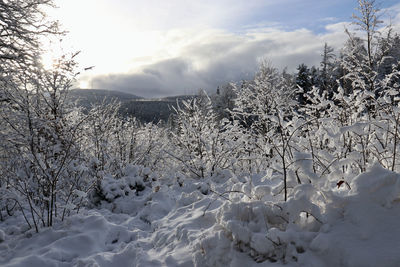 Scenic view of snow covered field against sky