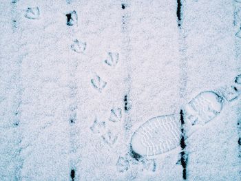 High angle view of footprints on snow covered field