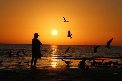 Silhouette people at beach during sunset