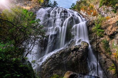 Scenic view of waterfall in forest