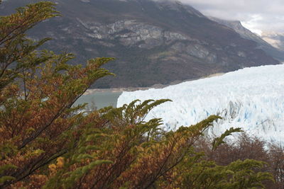 Scenic view of mountains