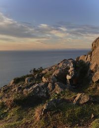 Dwarf looking at the ocean