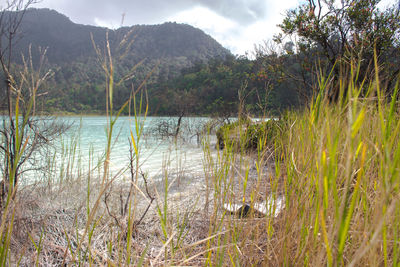 Scenic view of lake against sky