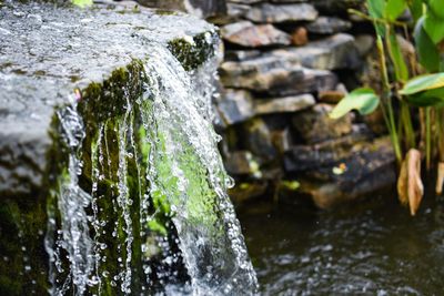 Close-up of water flowing through rocks