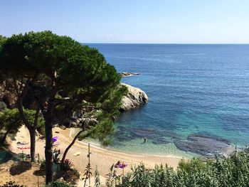 Scenic view of sea against clear sky