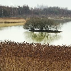 Scenic view of lake against sky
