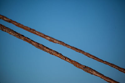 Low angle view of blue sky