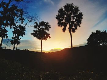 Silhouette palm trees against sky during sunset